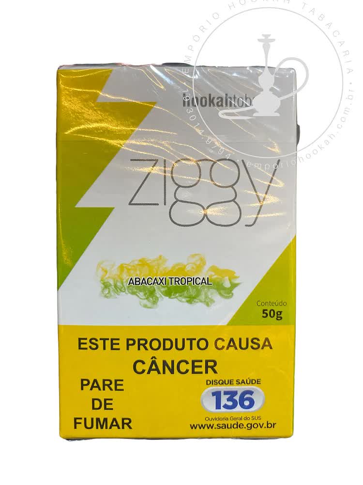ESSENCIA ZIGGY ABACAXI TROPICAL